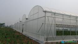 Economical simple greenhouse