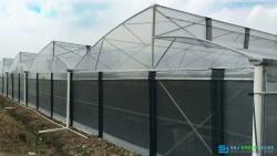 Serrated plastic greenhouse